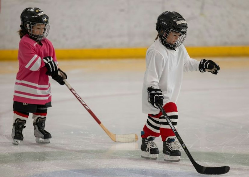Park City Ice Arena & Sports Complex image 2