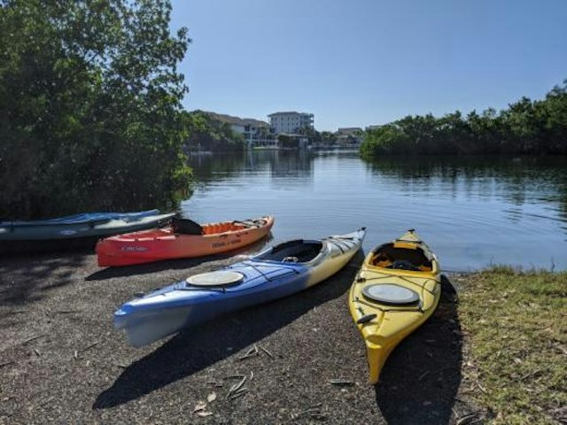 Turtle Beach Campground image 4