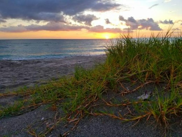 Turtle Beach Campground image 5