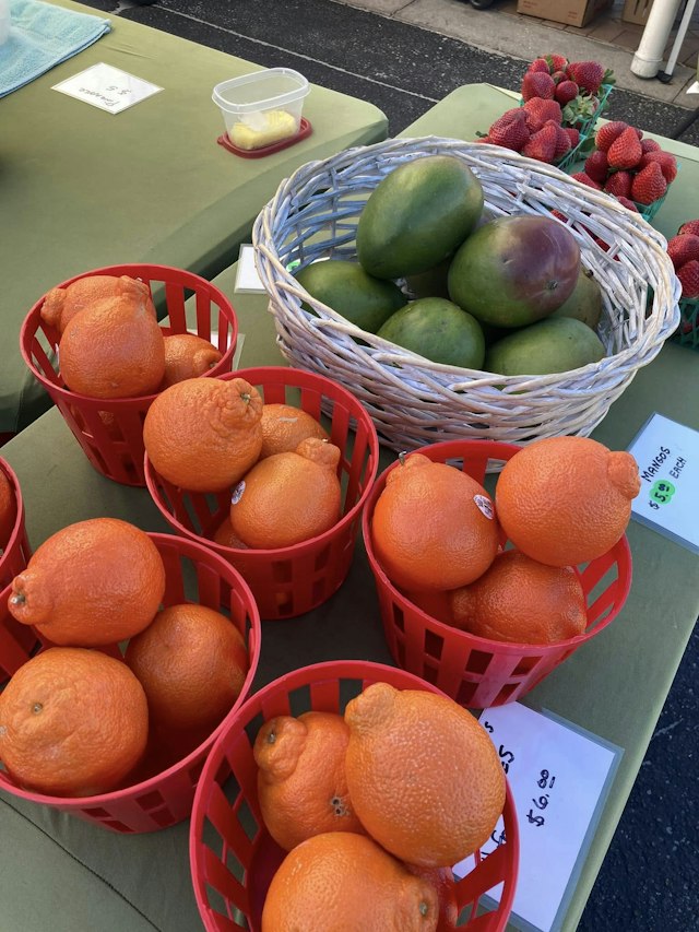 Siesta Key Farmers Market image 11