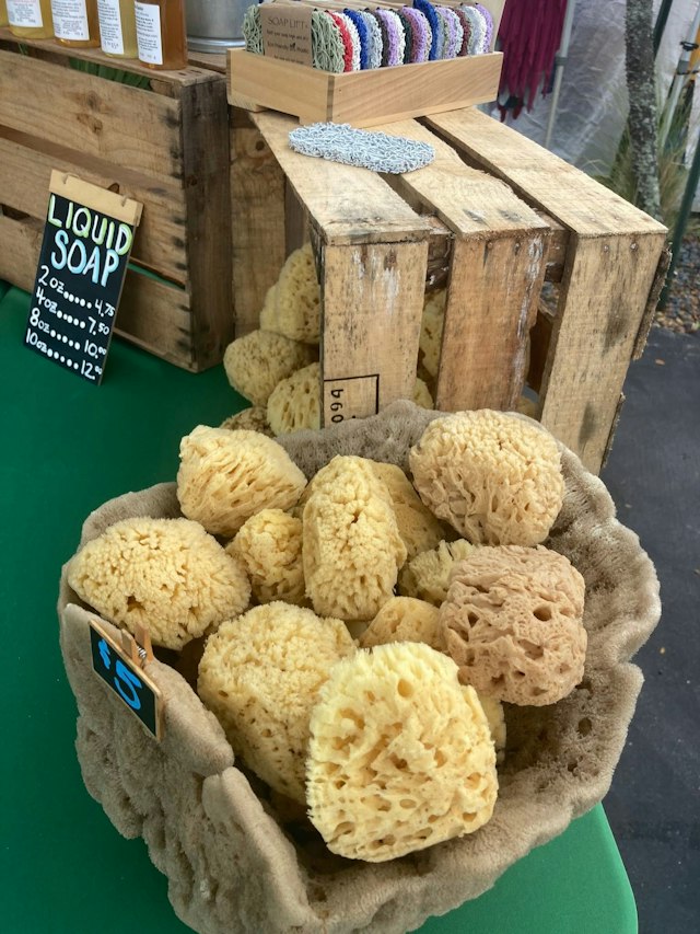 Siesta Key Farmers Market image 9
