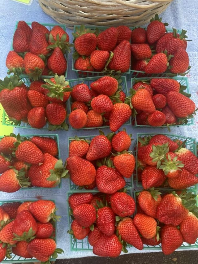 Siesta Key Farmers Market image 7