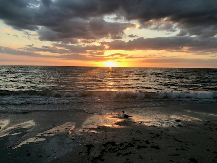 Siesta Beach image 3