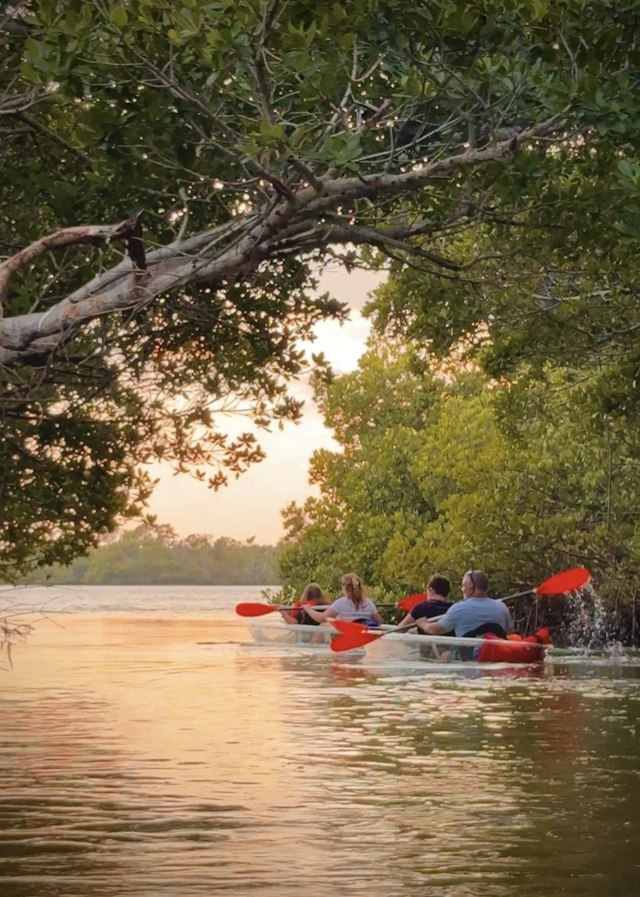 Glow Boats Kayaking image 18