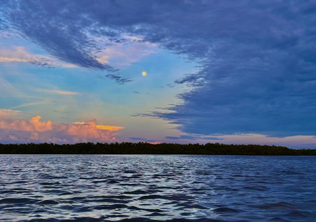 Glow Boats Kayaking image 14