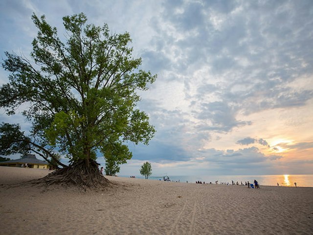 Warren Dunes State Park - Mt. Randall Loop image 1
