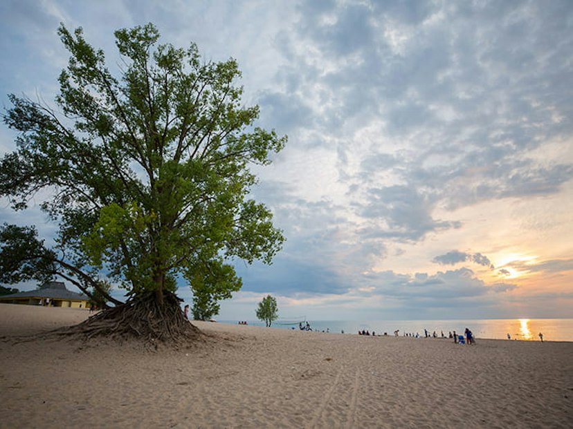 Warren Dunes State Park - Mt. Randall Loop image 1