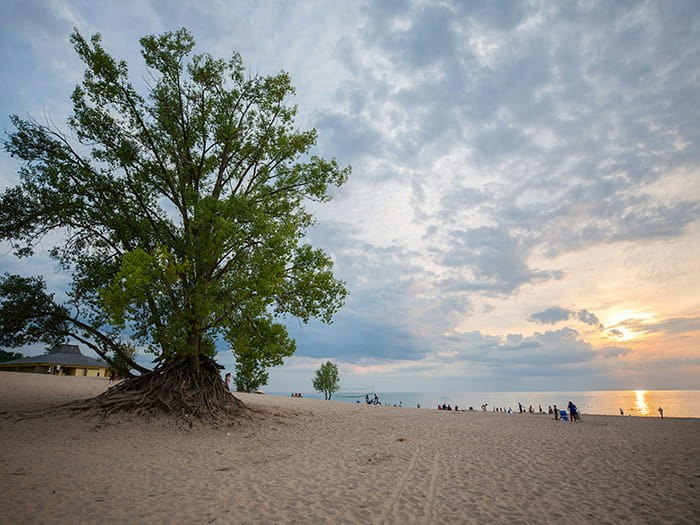 Warren Dunes State Park - Mt. Randall Loop, photo