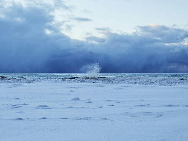 Warren Dunes State Park - Mt. Randall Loop image 8