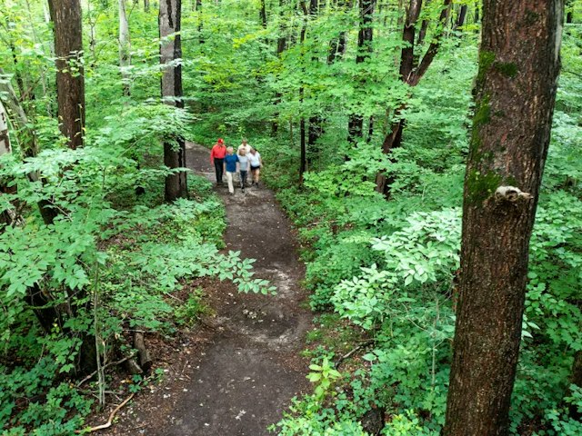 Warren Woods State Park image 3