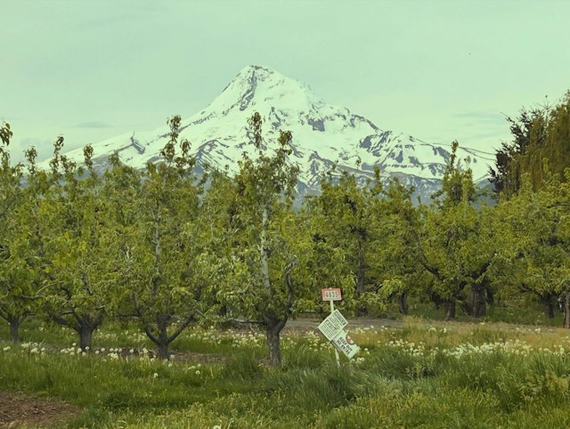 Bend Cider Company image 6