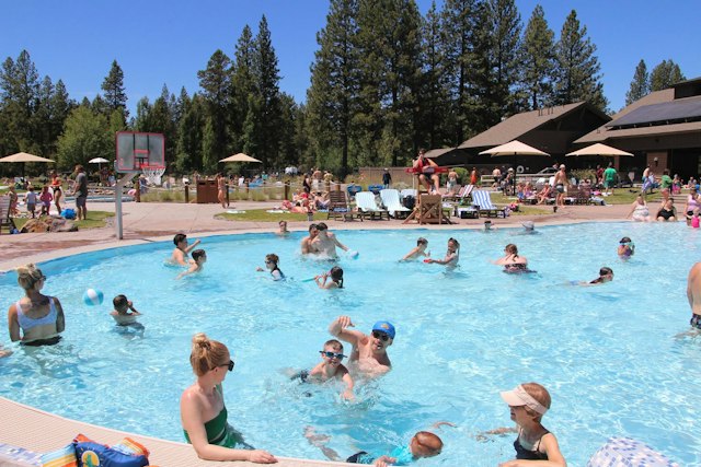 SHARC Aquatics & Recreation image 1