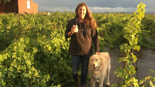 Maragas Winery image 6