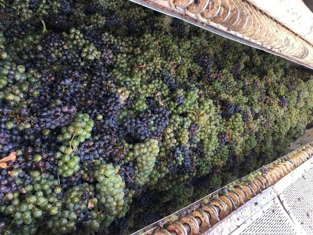 Maragas Winery image 9