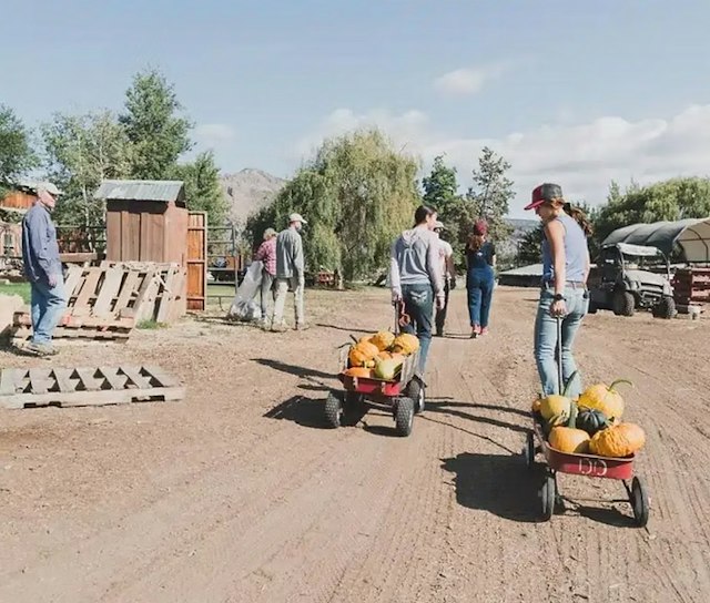 DD Ranch image 3