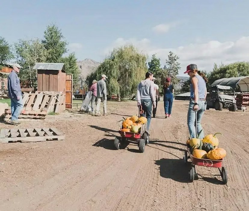 DD Ranch image 3