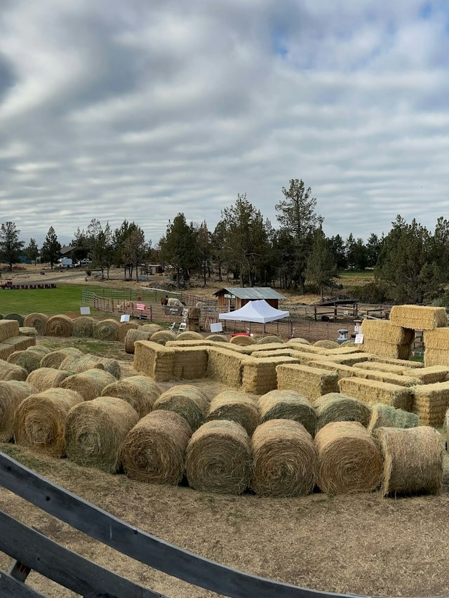 DD Ranch image 6