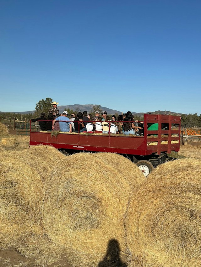 DD Ranch image 13