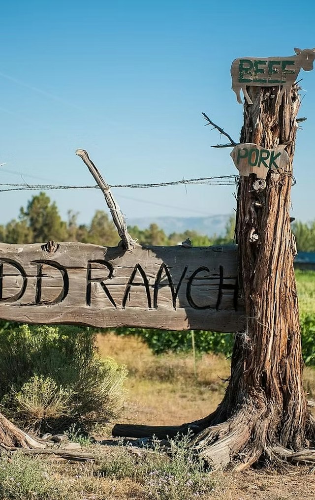 DD Ranch image 5