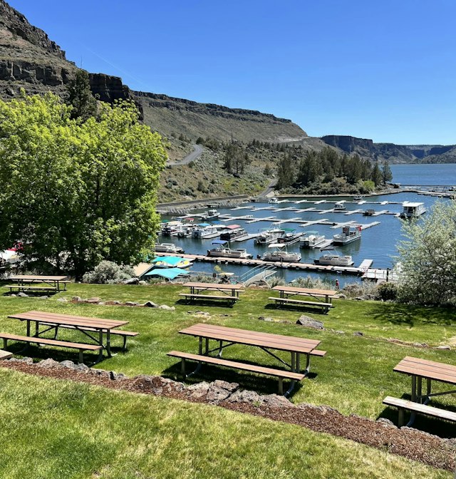 Cove Palisades Resort & Marina image 10