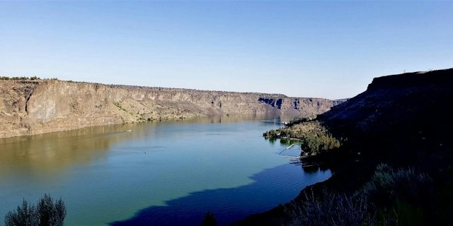 Cove Palisades Resort & Marina image 2