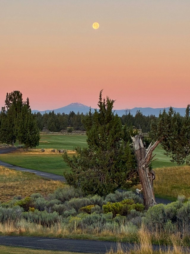 Juniper Golf Course image 10
