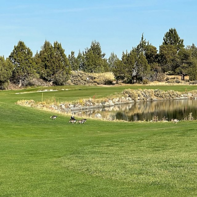 Juniper Golf Course image 5