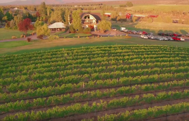 Faith Hope & Charity Vineyards image 9