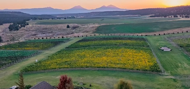 Faith Hope & Charity Vineyards image 10
