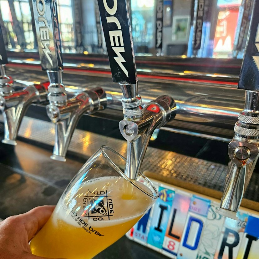 Wild Ride Brew image 1