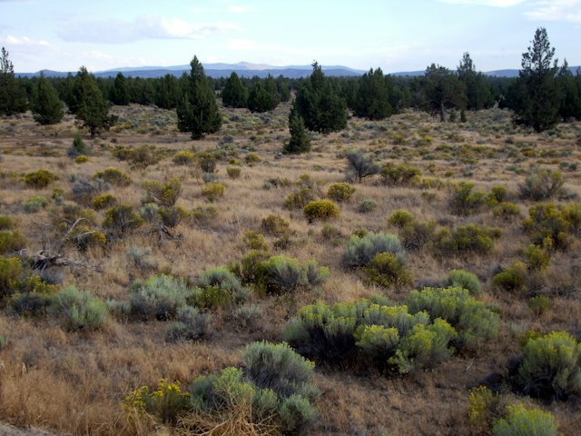Oregon Badlands Wilderness image 7