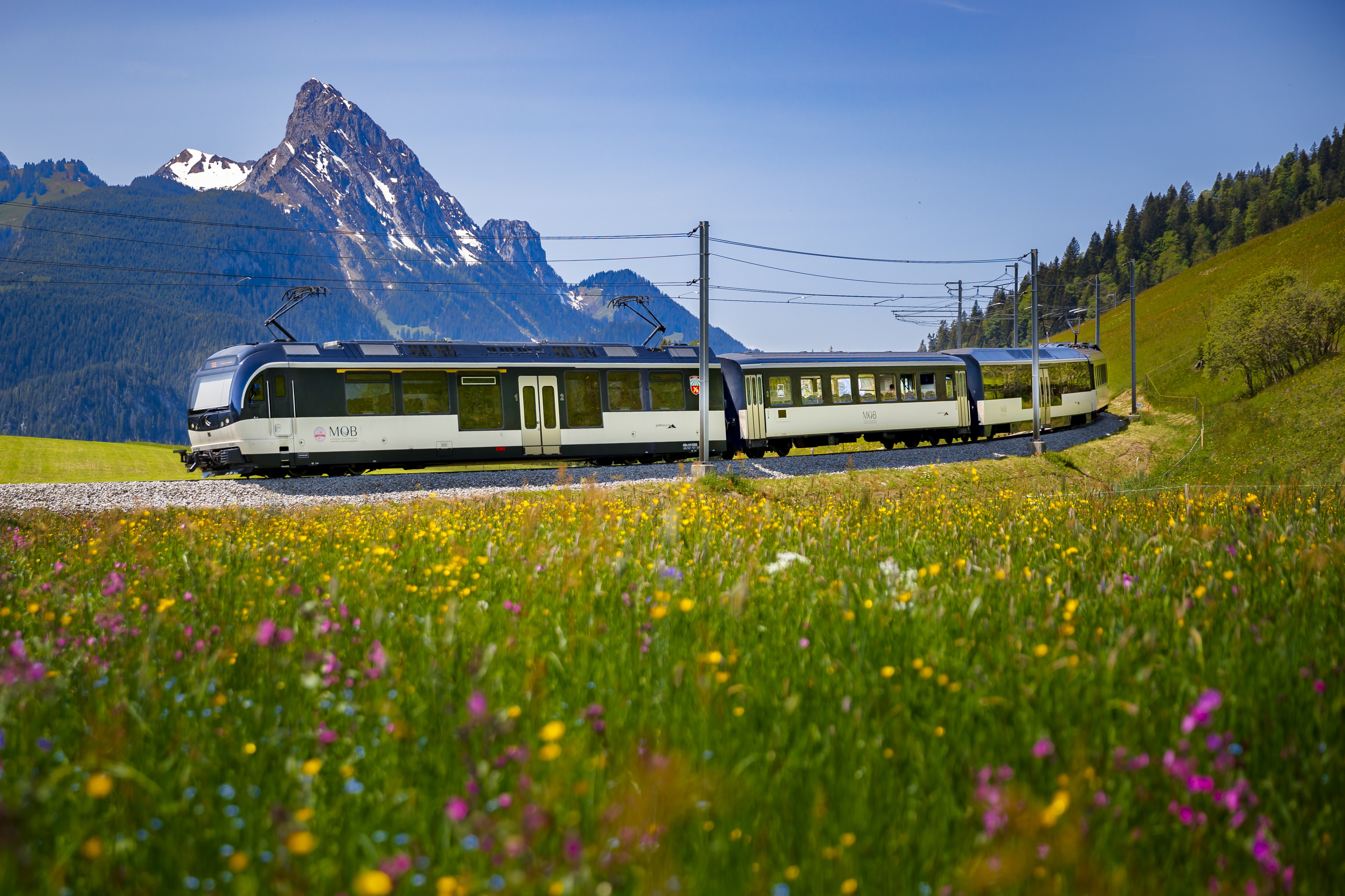 GoldenPass Panoramic ​ - Switzerland Travel Solutions for Travel