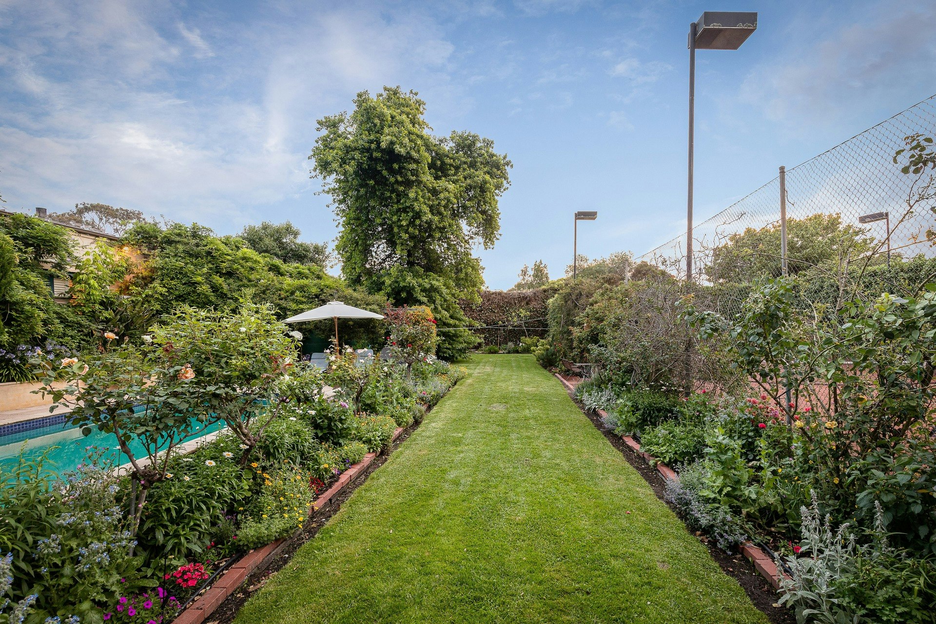 garden
