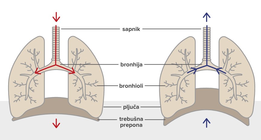 Kaj merimo s spirometrijo