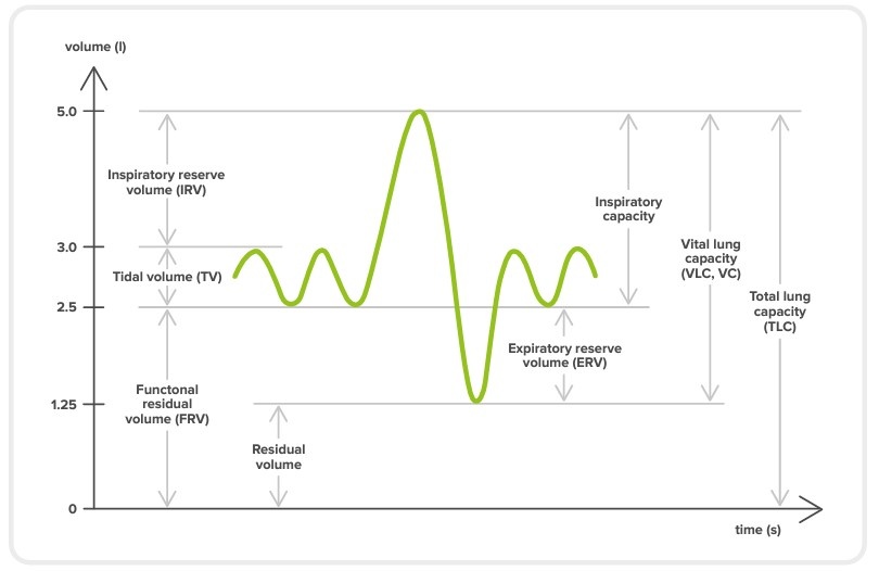 Real time volume time graph