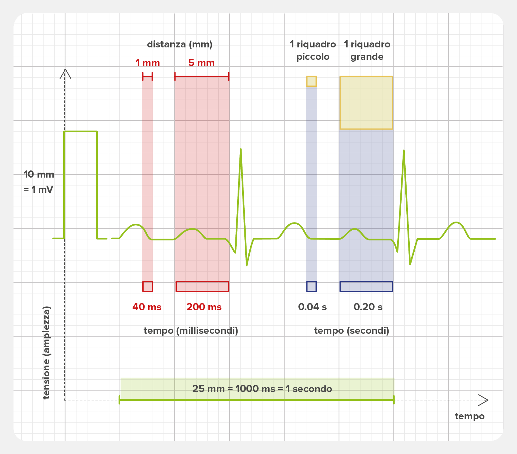 Distanze sulla stampa o il grafico dell’ECG