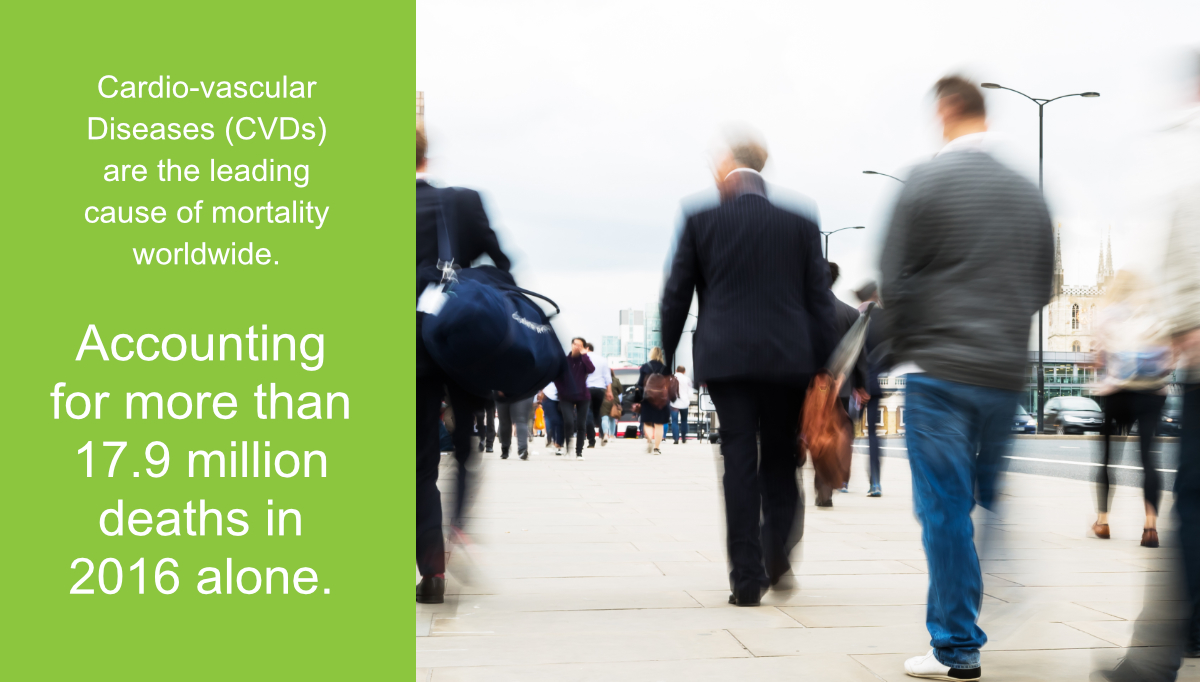 Problem of Cardio-Arterial Diseases