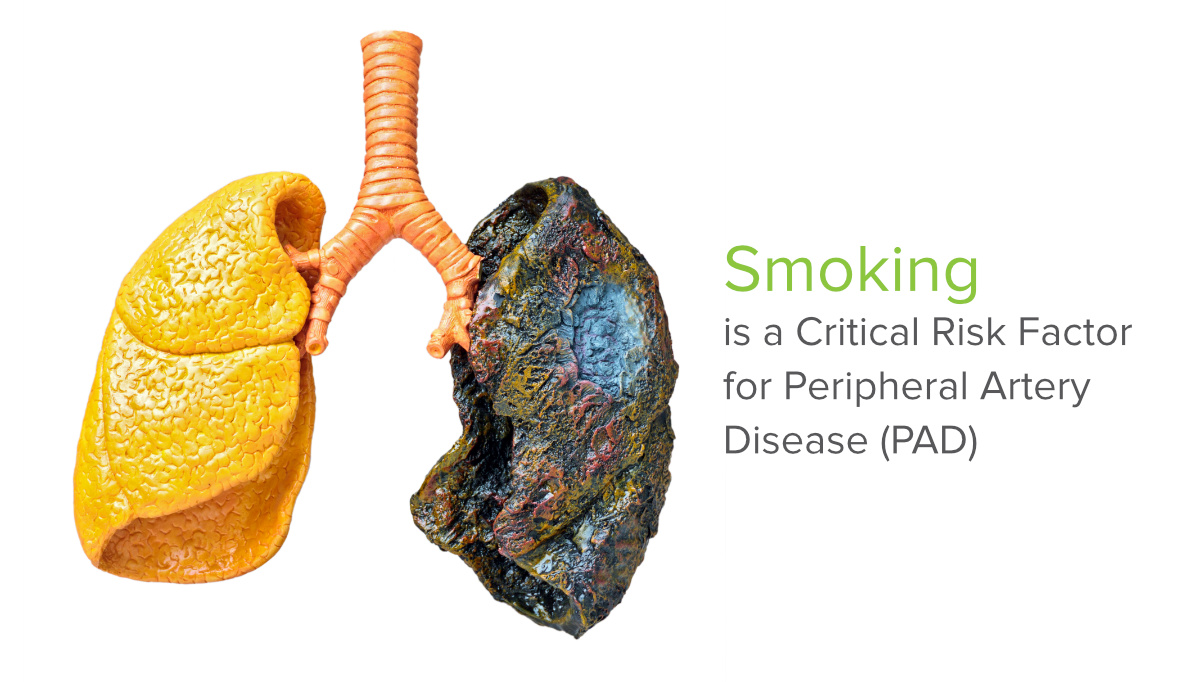 the-effect-of-smoking-on-ankle-brachial-index-abi