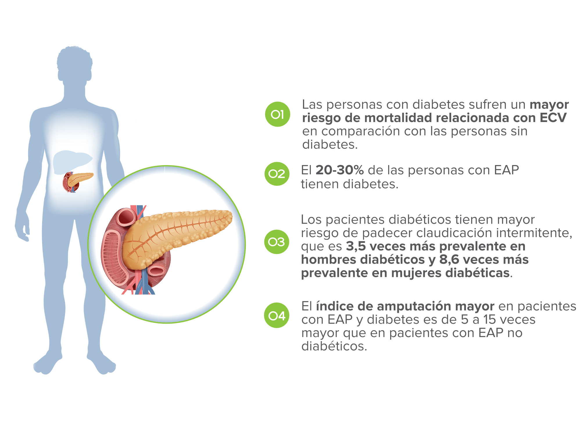 el-efecto-de-la-diabetes-en-el-itb-infographic