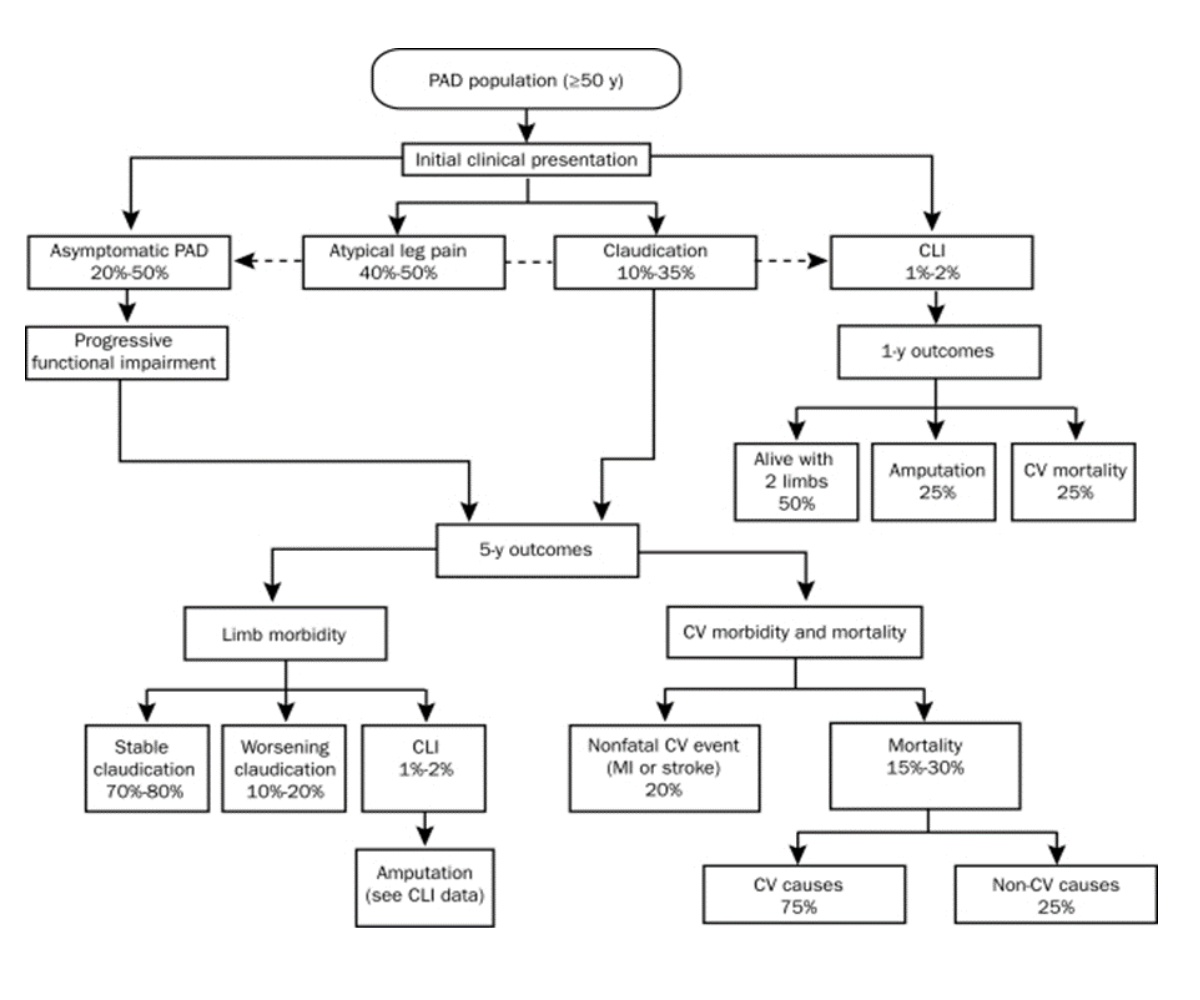 improving-efficiency-in-the-ankle-brachial-index-screening-test-through-automated-innovative-technology