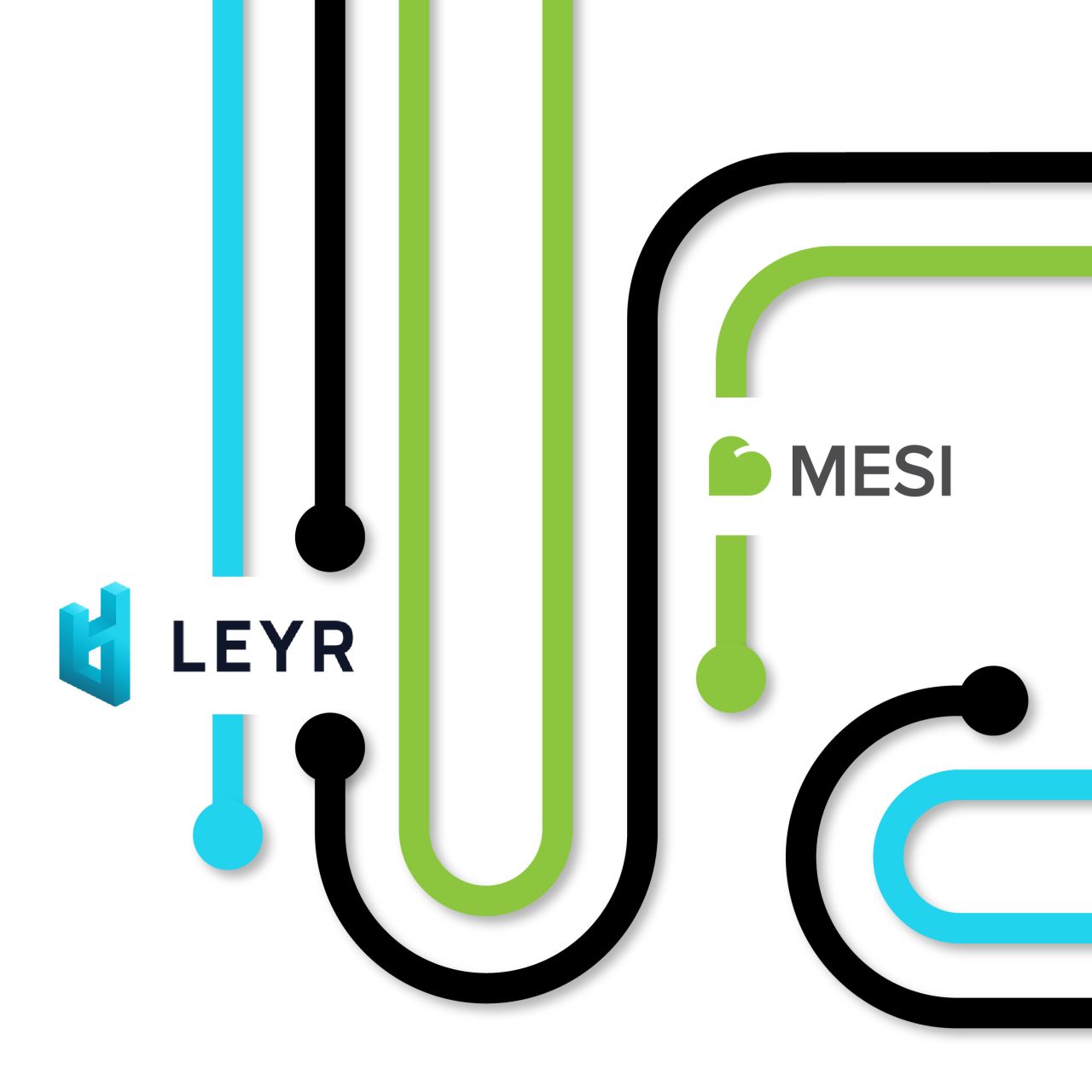 Leyer & MESI partnership
