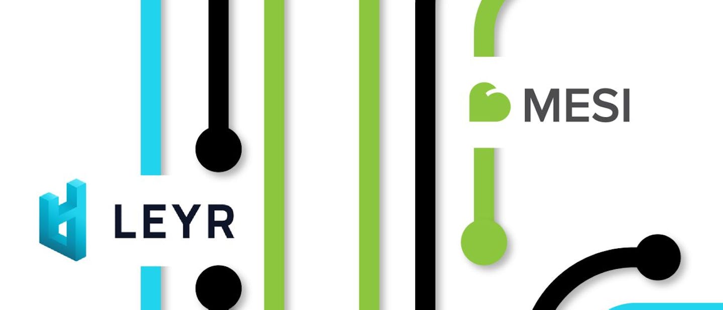 Leyer & MESI partnership