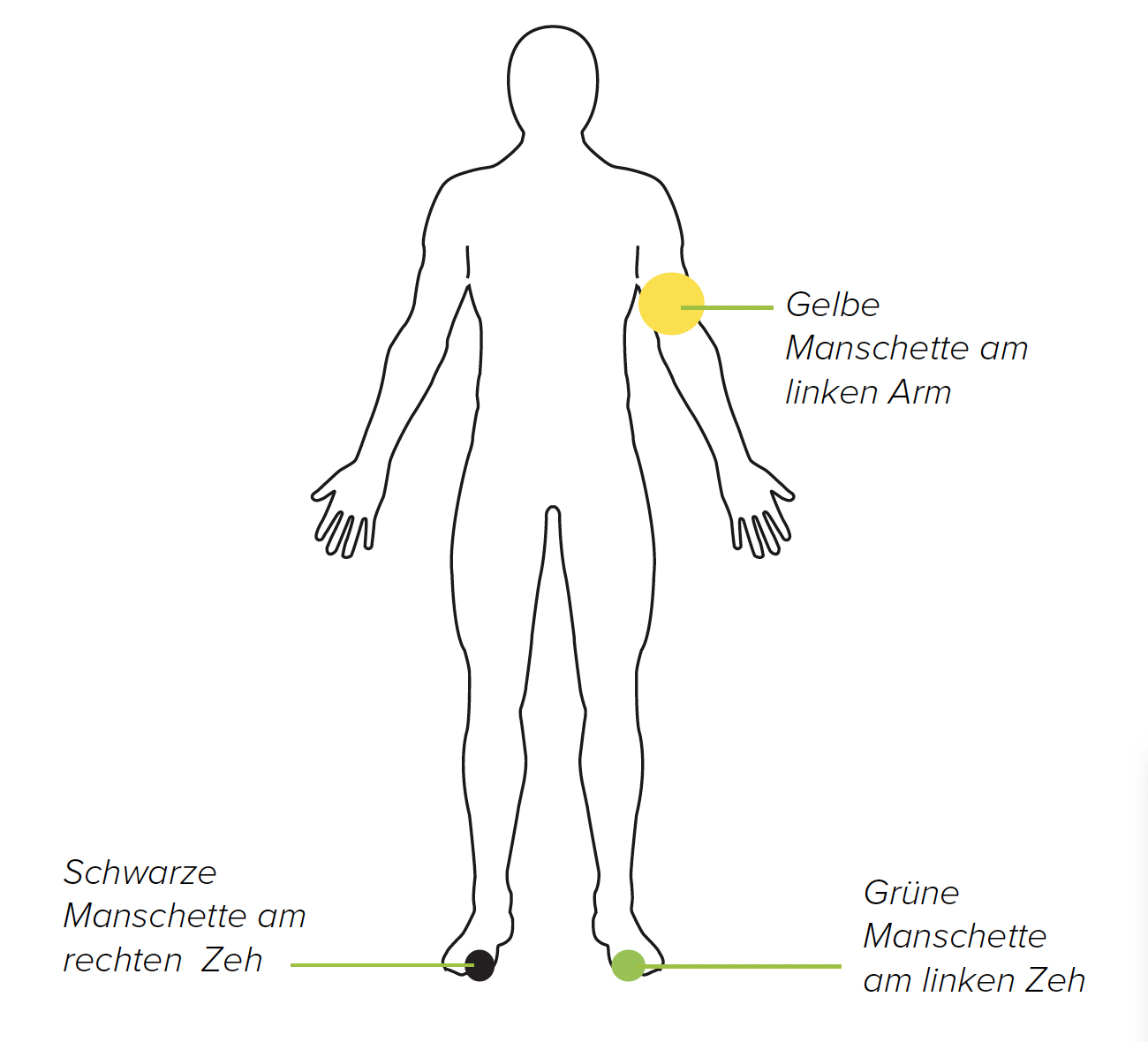 Option 2: TBI-Messung mit 3 Manschetten (linker Arm)