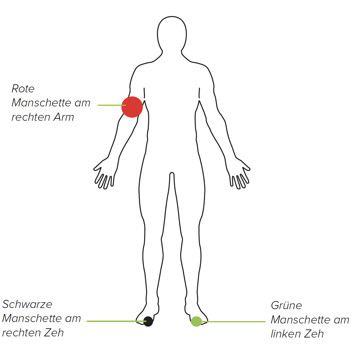 Option 1: TBI-Messung mit 3 Manschetten (rechter Arm)