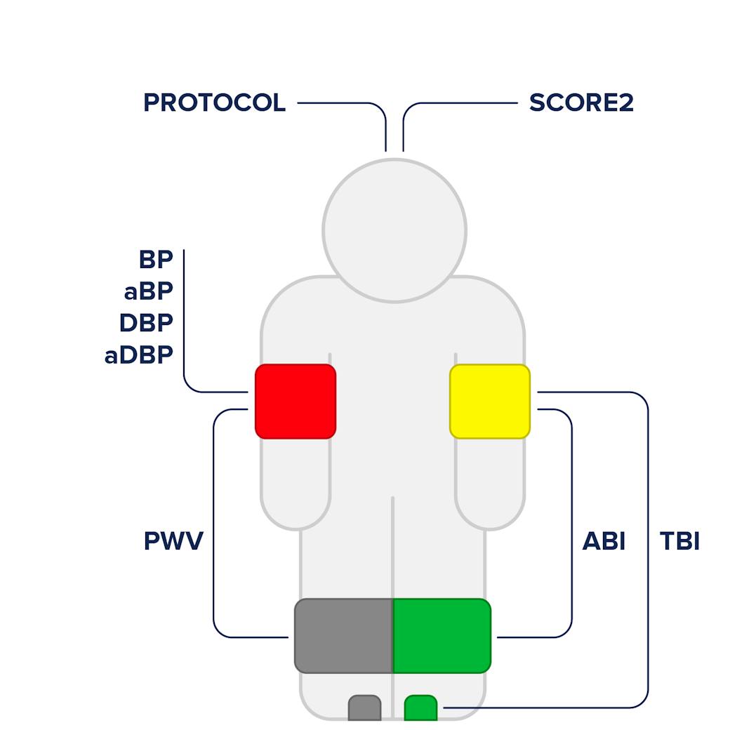 Arterial assesment shema