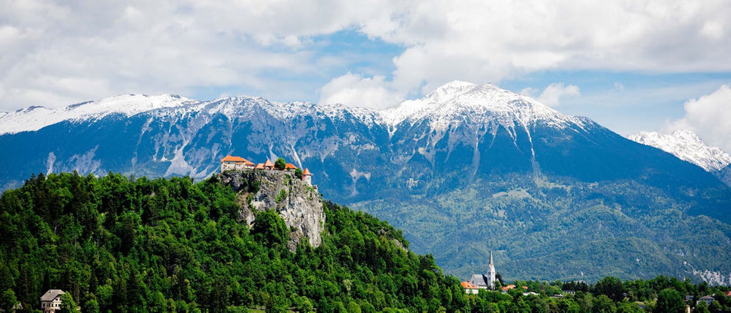 MESI conference Bled