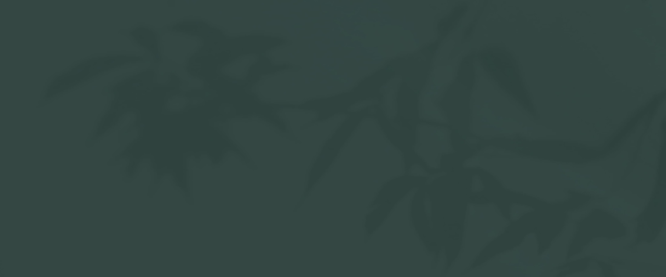 Banner media