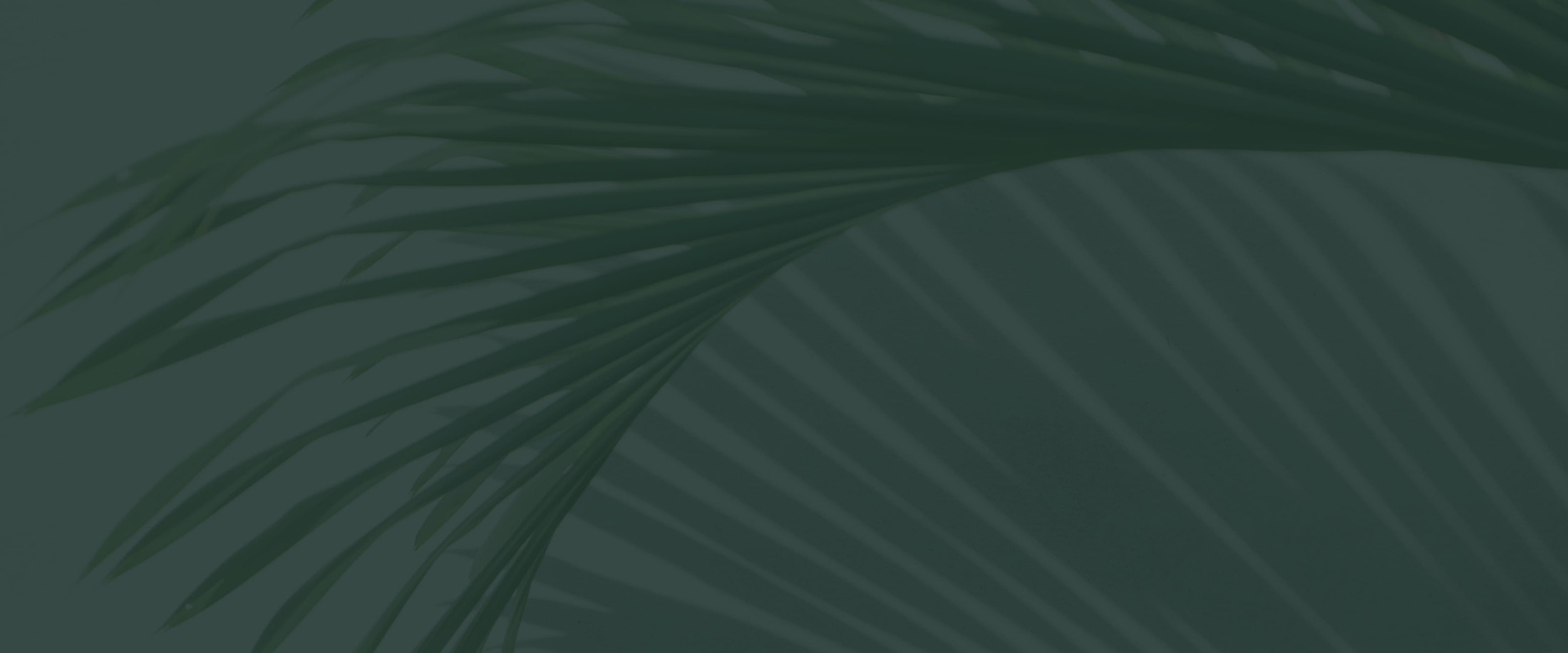Banner media