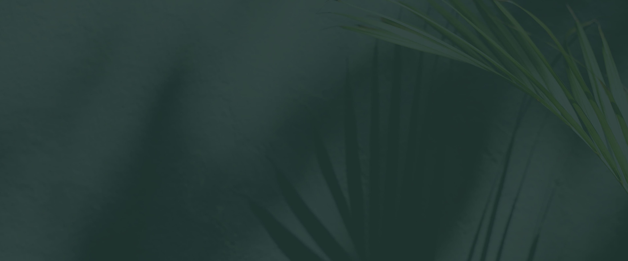 Banner media