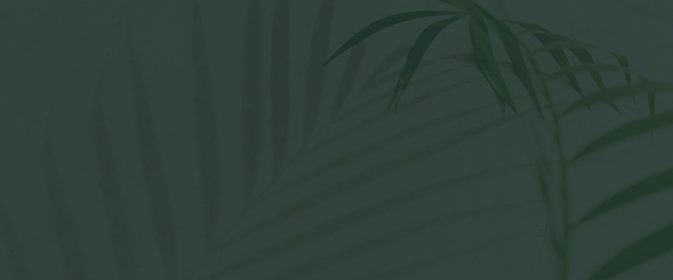 Banner media